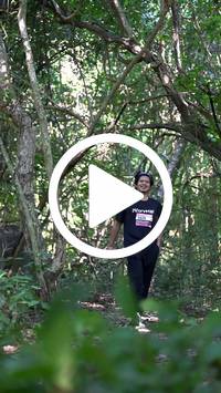 BIB:  <button type="button" onclick="openModal(28078329)" class="btn btn-primary btn-sm float-right" data-toggle="modal" data-target=".modal-high-quality">
                <i class="fa fa-download"></i> Download
                </button>